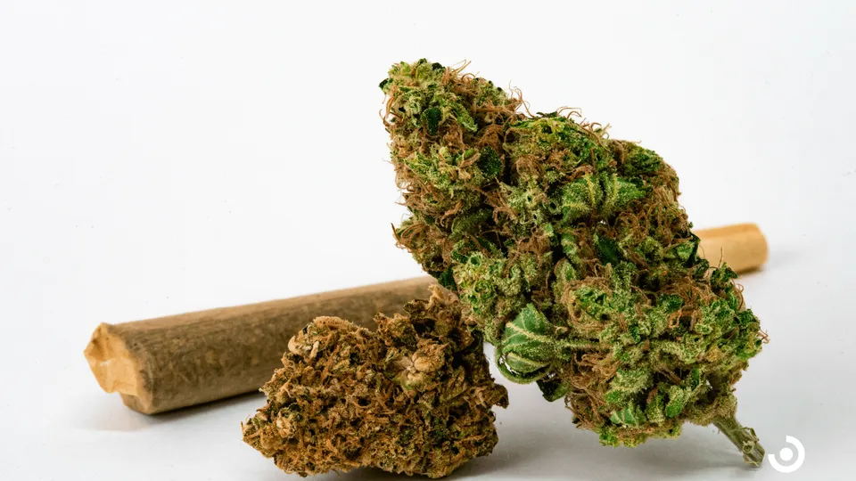 Edibles vs. Smoking - Pros &amp; Cons