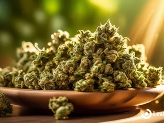 How Many Grams In A Pound Of Weed