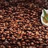 Will Cannabis Coffee Give Me Energy?