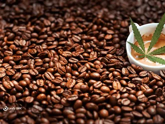 Will Cannabis Coffee Give Me Energy?