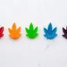 Top 5 Ways to Consume Cannabis Without Smoking It