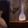 A Guide On Relaxing Terpenes For Better Sleep