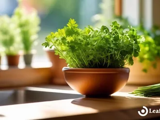 Essential Tips For Cooking With Cannabis