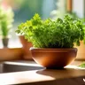 Essential Tips For Cooking With Cannabis