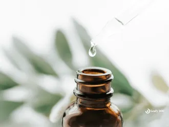 9 Benefits Of RSO Oil For Medical Cannabis Patients