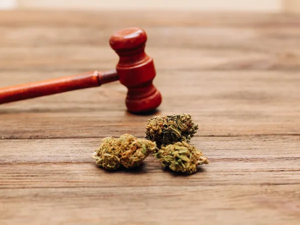 Everything You Need to Know About Missouri MMJ