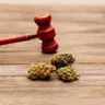 Everything You Need to Know About Missouri MMJ