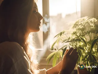 Unveiling The Psychological Effects Of Medical Marijuana