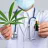 Medical Marijuanas Statistics