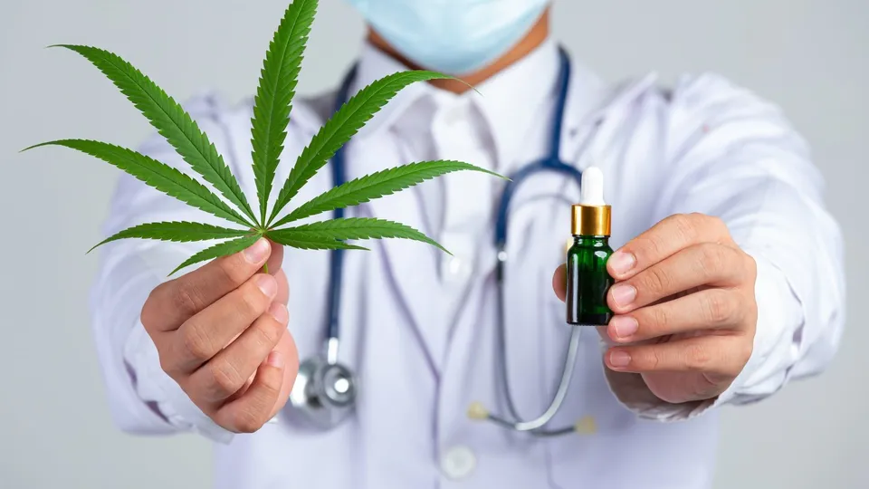 Medical Marijuanas Statistics