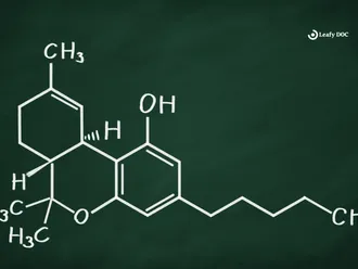 What Is THC A?