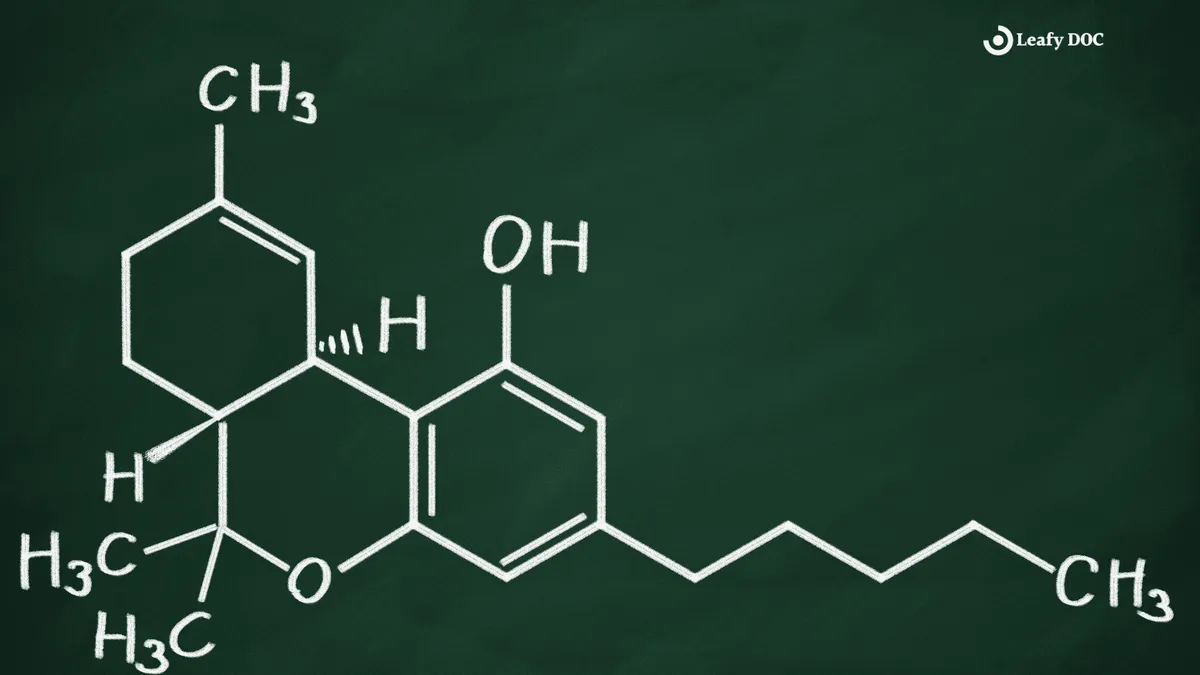 What Is THC A?
