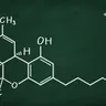 What Is THC A?