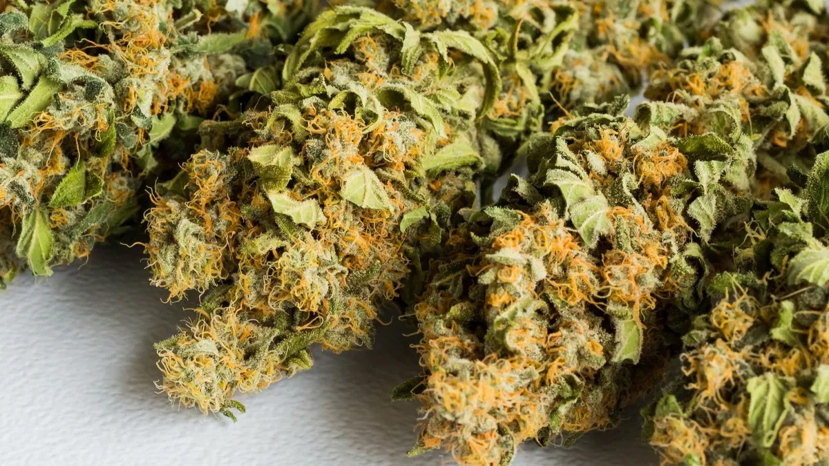 The Effects of Weed on Your Health