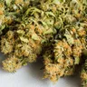 The Effects of Weed on Your Health