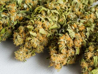 The Effects of Weed on Your Health