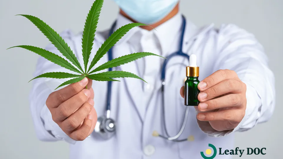 Best Medical Marijuana Doctors in New Jersey
