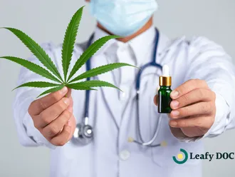 Best Medical Marijuana Doctors in New Jersey