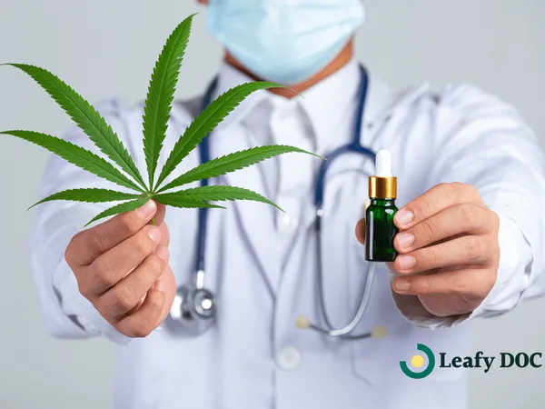 Best Medical Marijuana Doctors in New Jersey