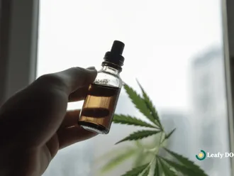 Exploring The Role Of Cannabis In Epilepsy Treatment