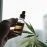 Exploring The Role Of Cannabis In Epilepsy Treatment