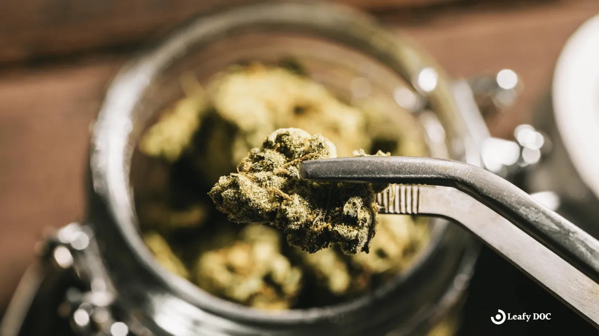 The Benefits and Risks of Microdosing Cannabis for Therapy