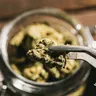 The Benefits and Risks of Microdosing Cannabis for Therapy