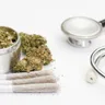 From Bourbon to Buds: Kentucky's Journey Towards Medical Marijuana Legalization
