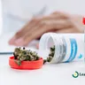 Top Medical Cannabis Providers: How to Choose Your Perfect Match