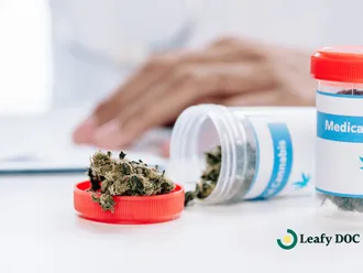 Top Medical Cannabis Providers: How to Choose Your Perfect Match
