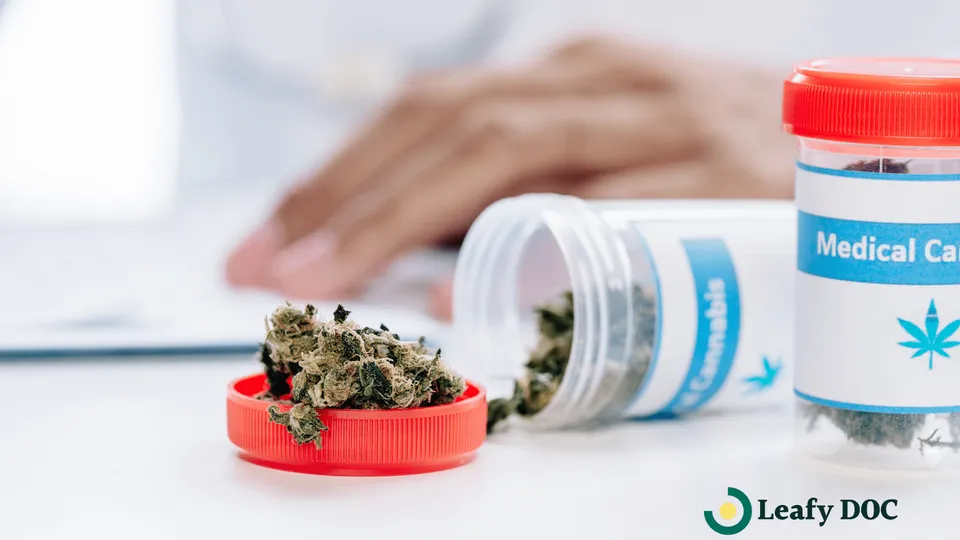 Top Medical Cannabis Providers: How to Choose Your Perfect Match