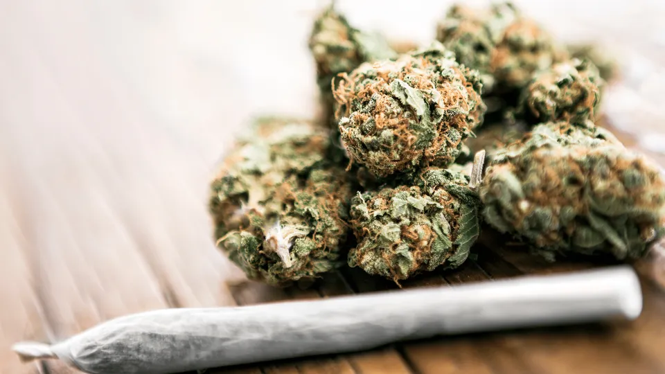 A Guide for Cannabis Microdosing