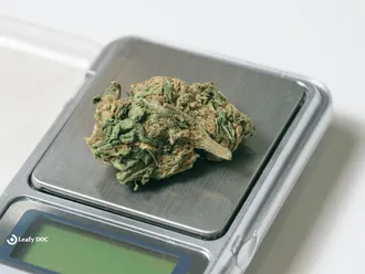 Weed Measurements Chart: Grams, Eighths, Quarters, Ounces &amp; Joints
