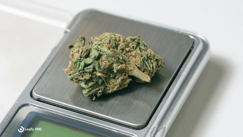 Weed Measurements Chart: Grams, Eighths, Quarters, Ounces &amp; Joints