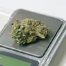 Weed Measurements Chart: Grams, Eighths, Quarters, Ounces &amp; Joints