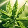 Unlocking Creativity With Terpenes In Cannabis