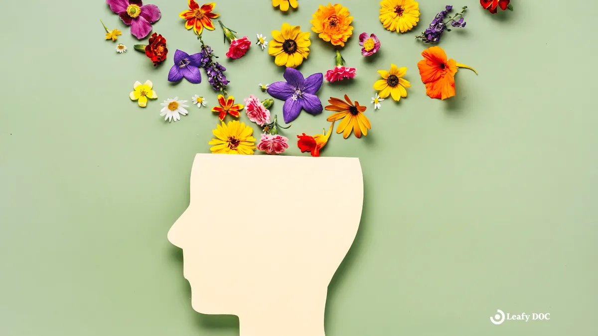 Marijuana and Mental Health: Understanding the Link and Risks