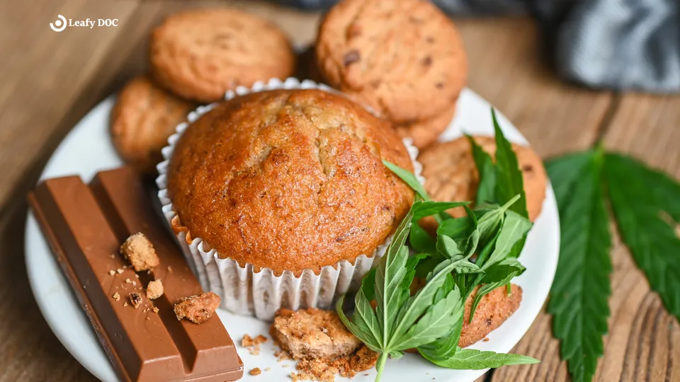 7 Cannabis-Infused Appetizer Recipes
