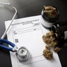 Everything You Need to Know About Medical Marijuana in NY
