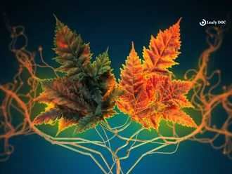How To Tell If Your Cannabis Is Synthetic