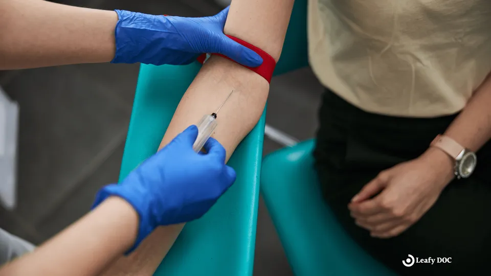 Can You Donate Blood If You Smoke Weed?