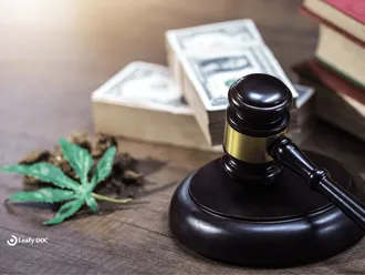 The Economic Impact of Marijuana Legalization
