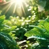 Discover The Best Indica Strains For Relaxation