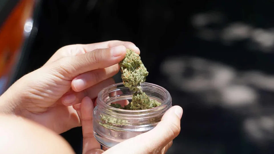 How Long Does Marijuana Stay in Your System
