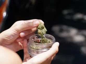 How Long Does Marijuana Stay in Your System