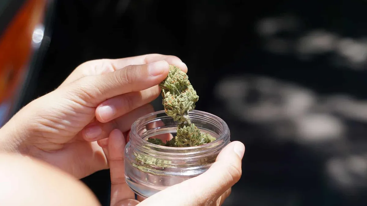 How Long Does Marijuana Stay in Your System