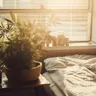 Best Cannabis Strains For Insomnia: Sleep Disorders And Marijuana