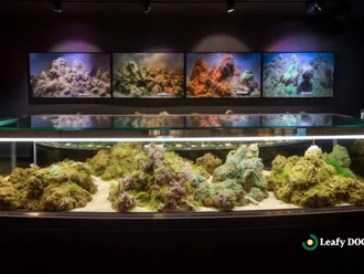 Explore The Variety Of Strains Available At Medical Marijuana Dispensaries In PA