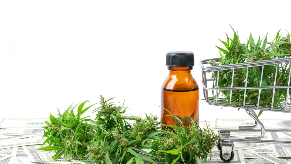Dispensary Growth on the Ballot in 3 States
