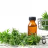Dispensary Growth on the Ballot in 3 States
